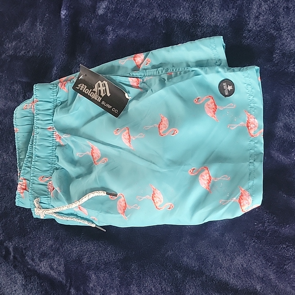 Molokai beach shorts